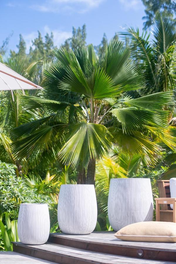 Motu Nao Nao Private Island Villa Opoa Dış mekan fotoğraf